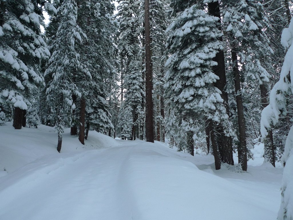 Christmas2010 151.JPG